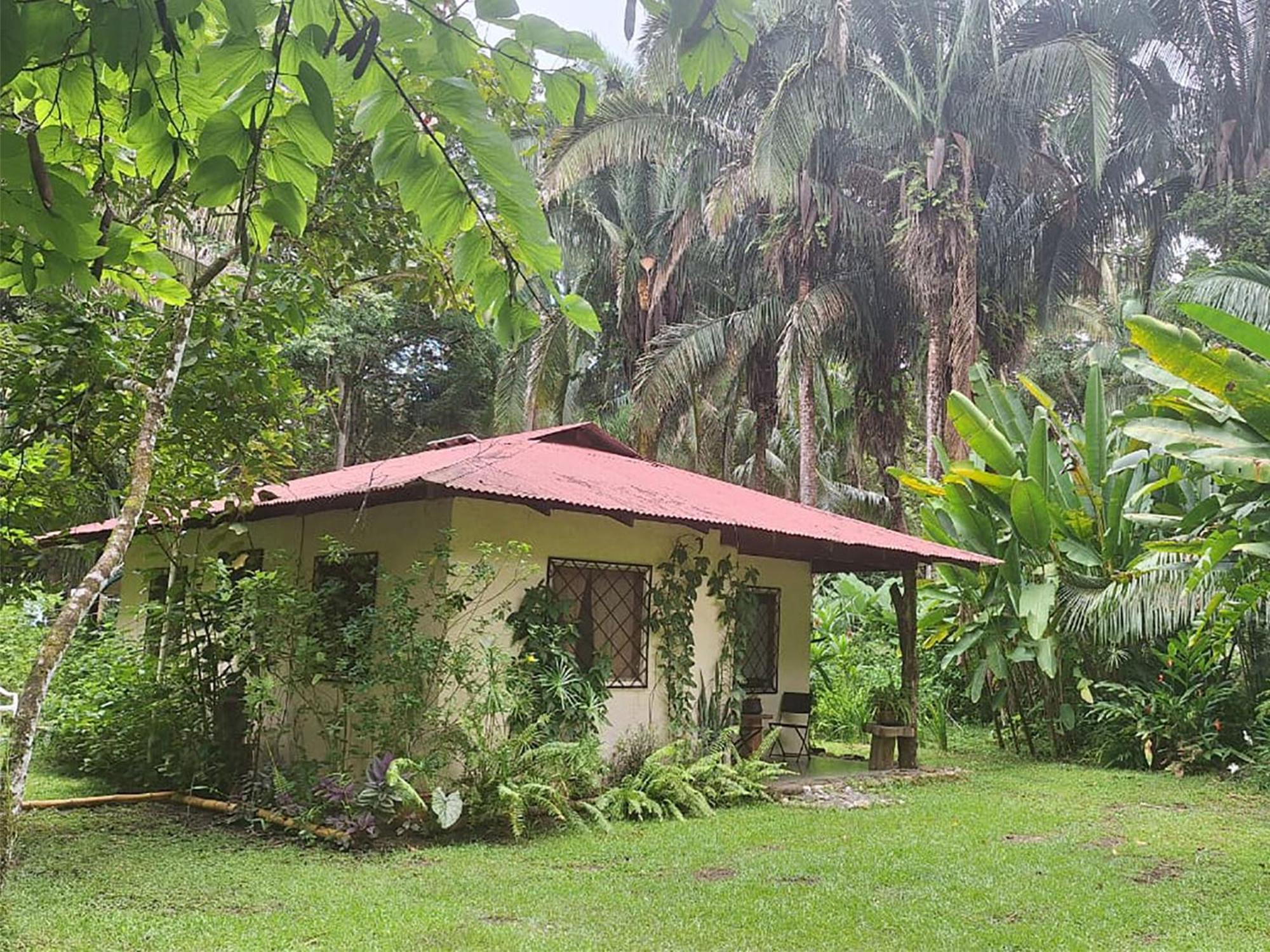 Four Monkeys Eco Lodge Jungle & Beach - The House Cabo Matapalo Exterior photo